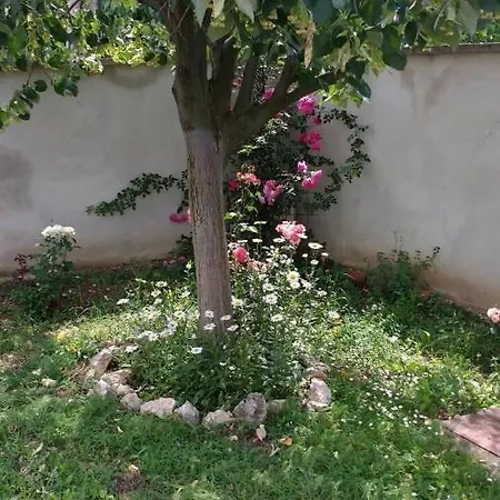 Spacious House With Garden For A Quiet Getaway