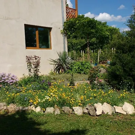 Bed & Breakfast Spacious House With Garden For A Quiet Getaway *